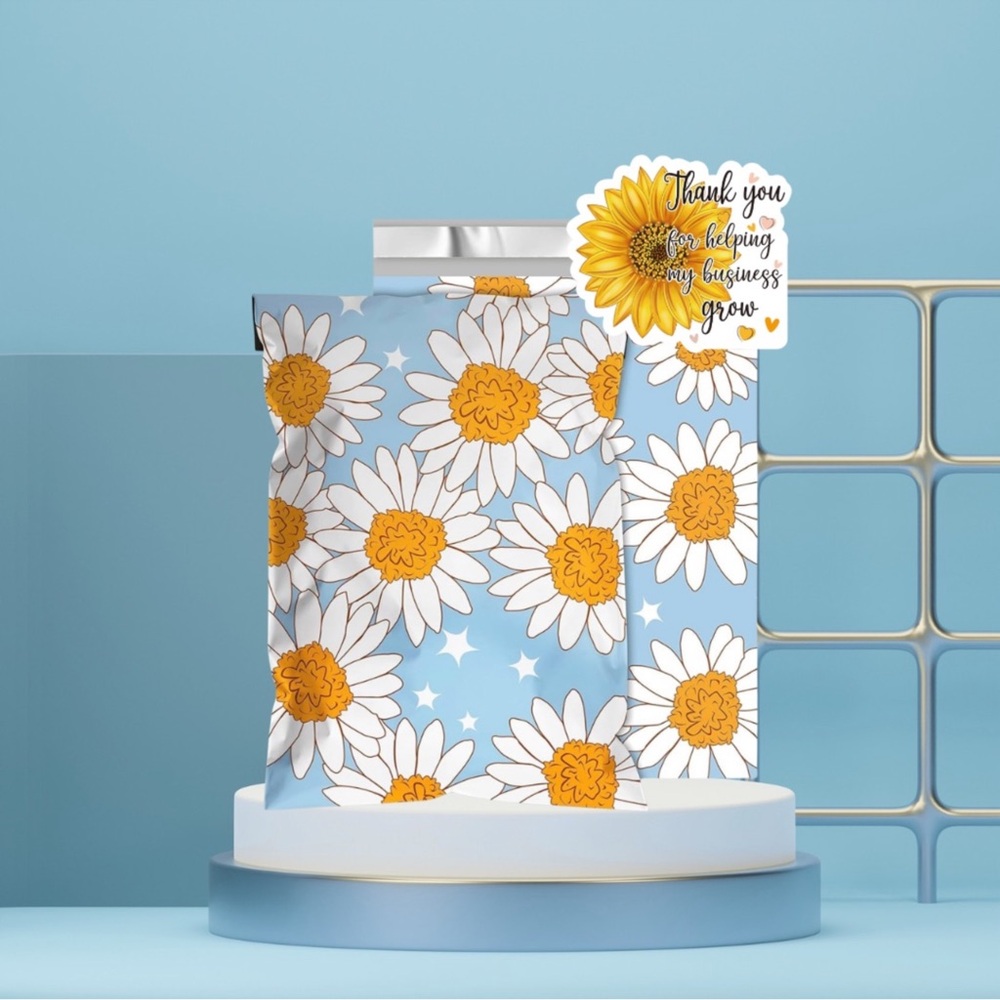 Poly mailers 10x13